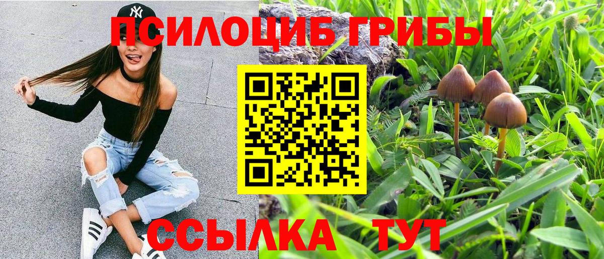 Псилоцибиновые грибы ЛСД Чусовой